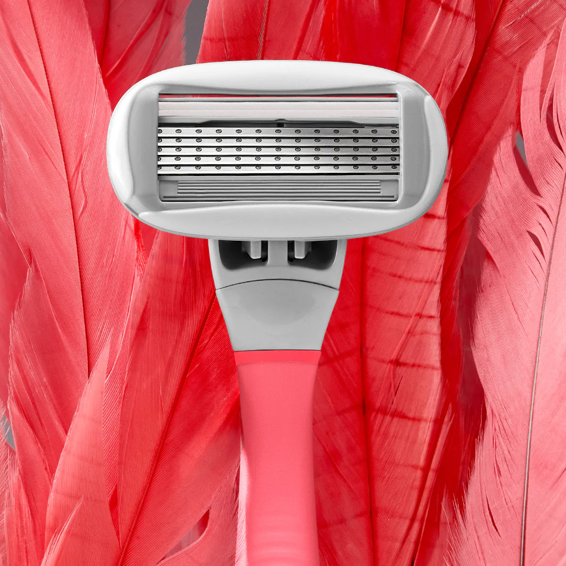 Original Razor - Image 5