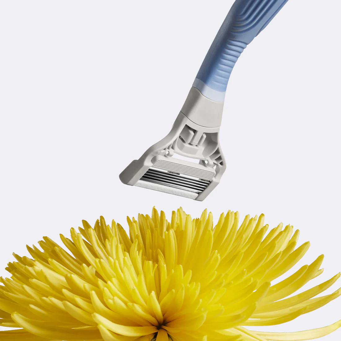Pubic Razor - Image 4